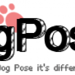 Dog Pose