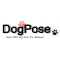 Dog Pose