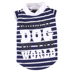 Top coolest dog in twee kleuren Top coolest dog in twee kleuren