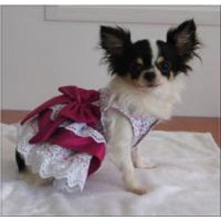 Tiffany roze jurk met kant Tiffany roze jurk met kant